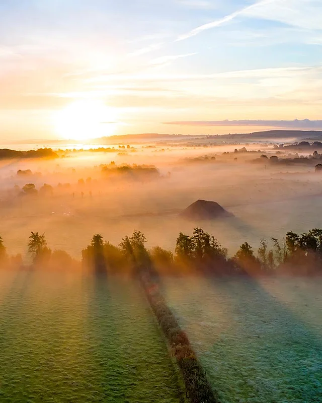 Sonnenaufgang über nebelverhangenen Feldern und Baumreihen